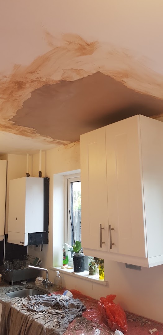 SDP Handyman and property services — Photos 8